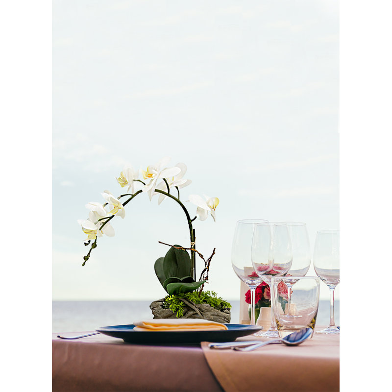 Orchid Arrangement in Planter