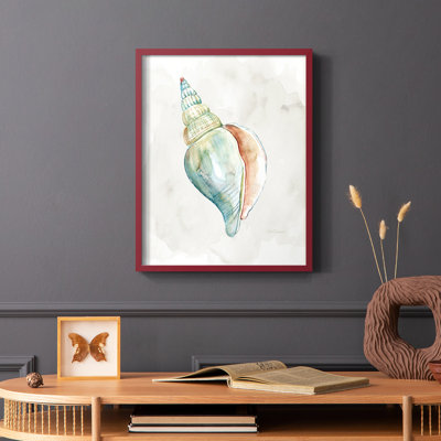 Pastel Shell II Framed Print - Solid Wood