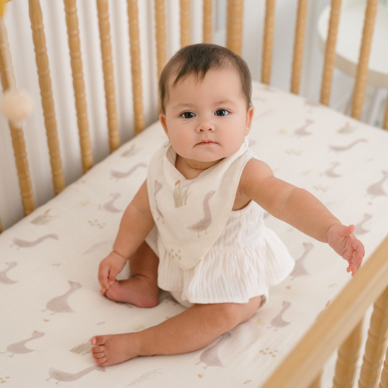 3-pc. Goose Bib Set