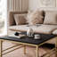 Coffee Table with Storage