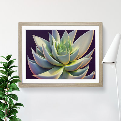 Ravishing Succulent Plant - Single Picture Frame Print