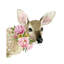 Deer Spring I par Grace Popp-impression d’art graphique-52931091-52931093-52931102