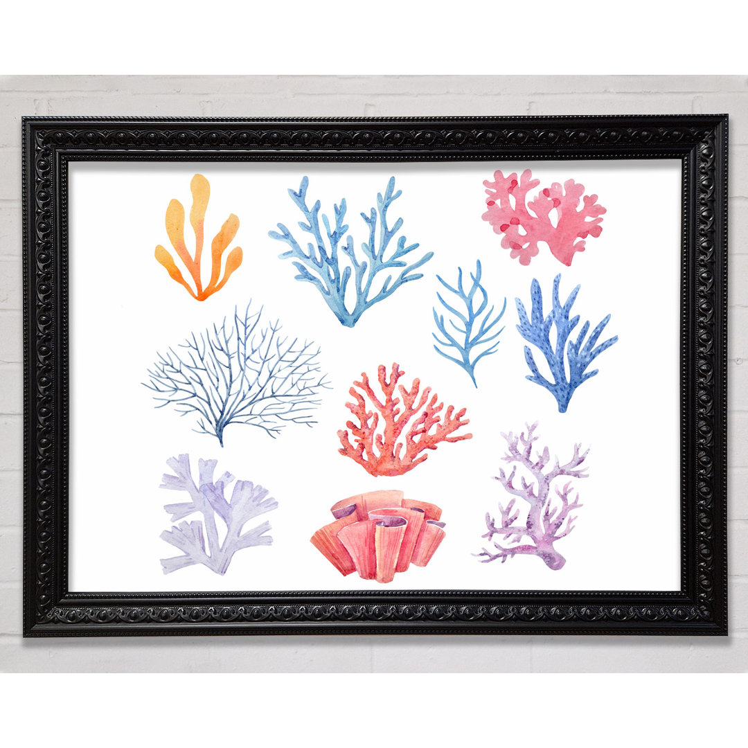 Sea Life Coral - Einzelner Bilderrahmen Kunstdrucke