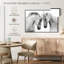 Couple de chevaux blancs-107509421