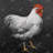 rooster 2 - 32"x32" art on canvas