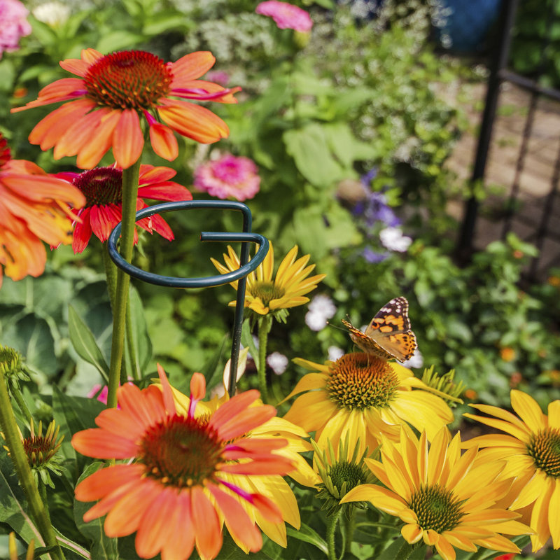 Lebec Metal Weather Resistant Plant Support