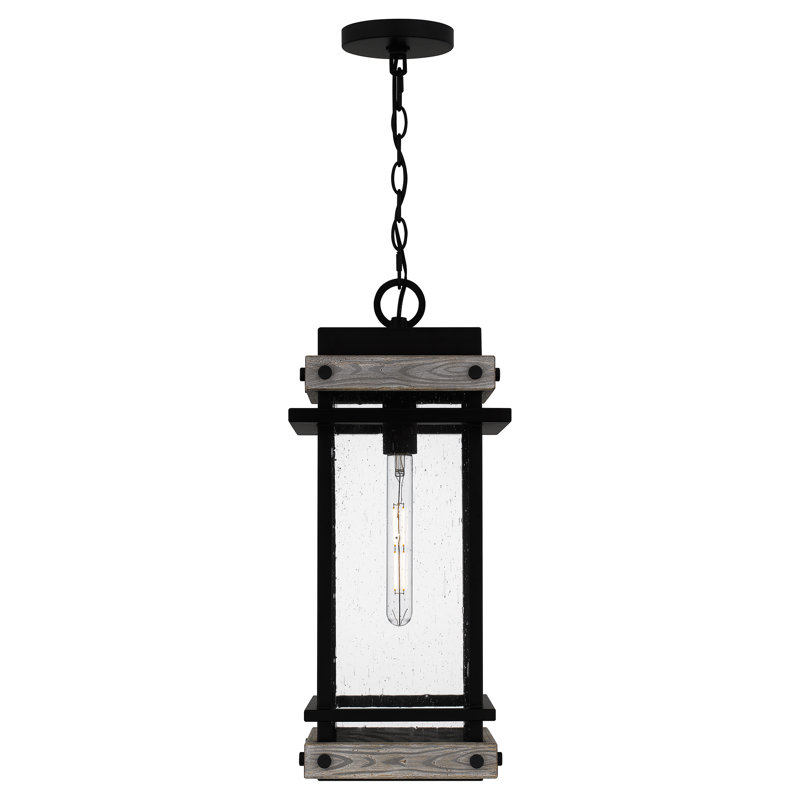 Franciane 1-Light Matte Black Mini Pendant Light
