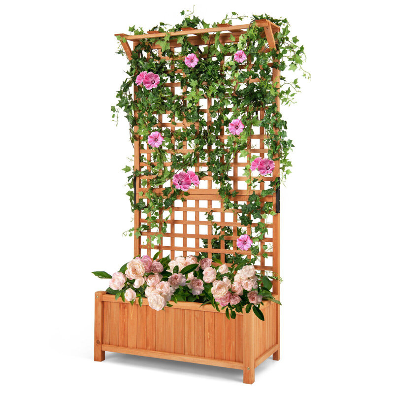 Arya-Jane Wood Raised Garden Bed with Trellis