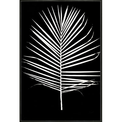Majesty Palm 2 Print