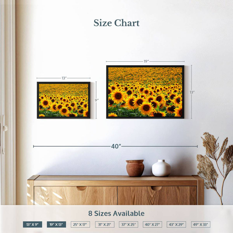 Champ de tournesols sans fin Alvord, H 13 po x l 19 po