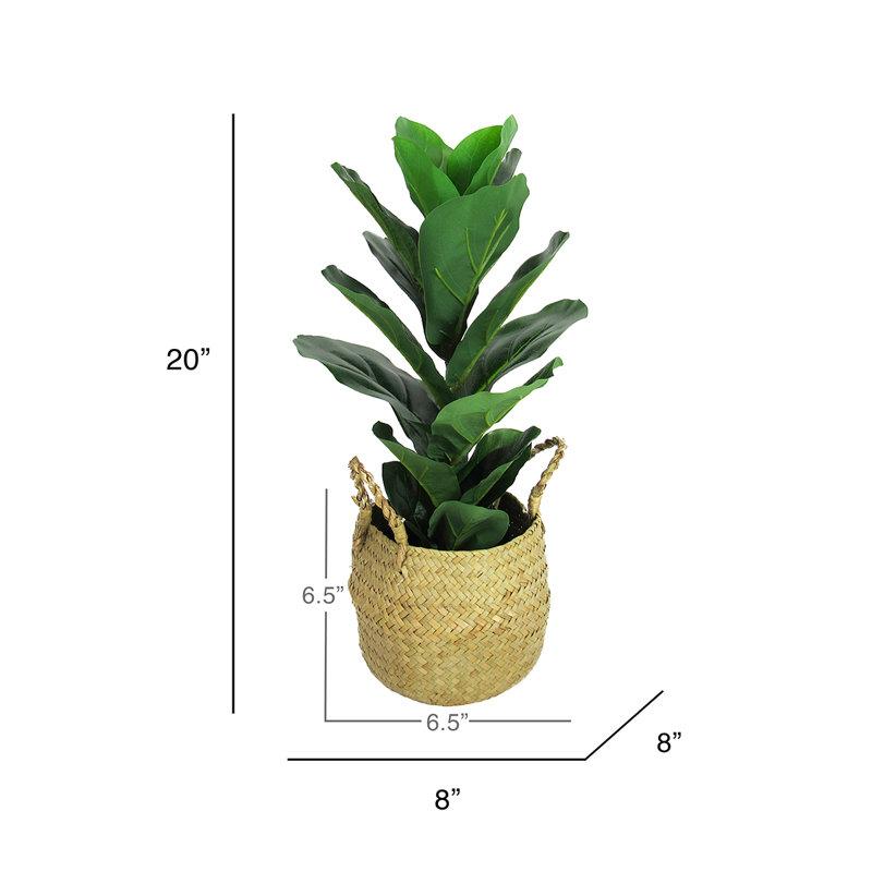 20" Artificial Fiddle Leaf Fig Tree in Basket