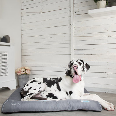 Polyester Pet Bed