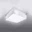 Maplewood Flush Mount-62119199