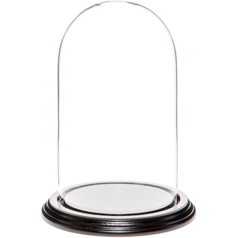 Cloche en verre avec dôme 4,5 "x 8" Vucciria, Base en placage de bois noir