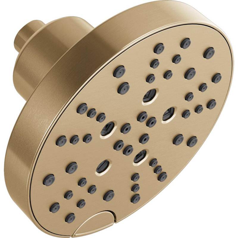 Multi-Function Adjustable Shower Head, Champagne Bronze