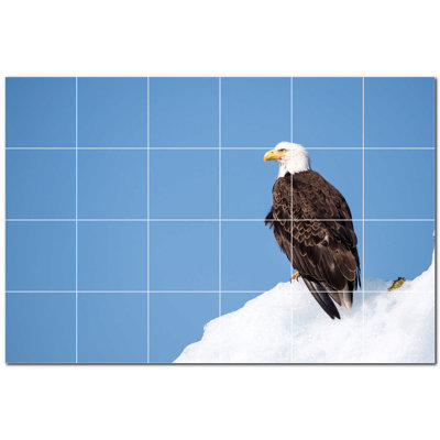 Bird Photo 6 in. x 6 in. Ceramic Decorative Mural