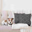 Housse de coussin Ambesonne-57226719