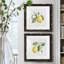 Lemon Fresh I - ensemble de 2 cadres photo-1747626570-1747626565