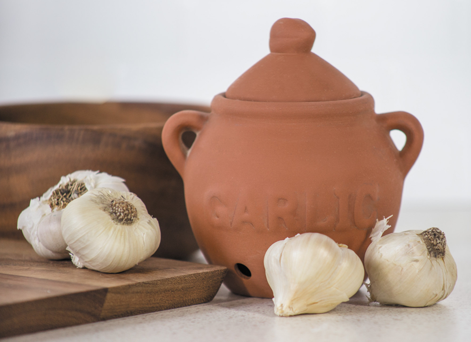 Rebrilliant Garlic Storage Jar & Reviews | Wayfair