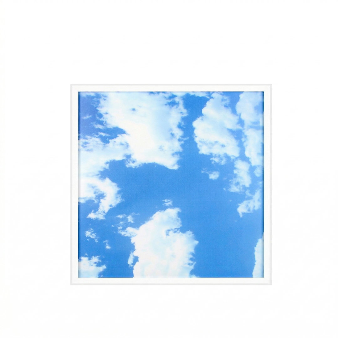 Ener-J SKY Cloud 2D LED Backlit Panel with Borderline LED 60x60cm White 40W 2 Pack