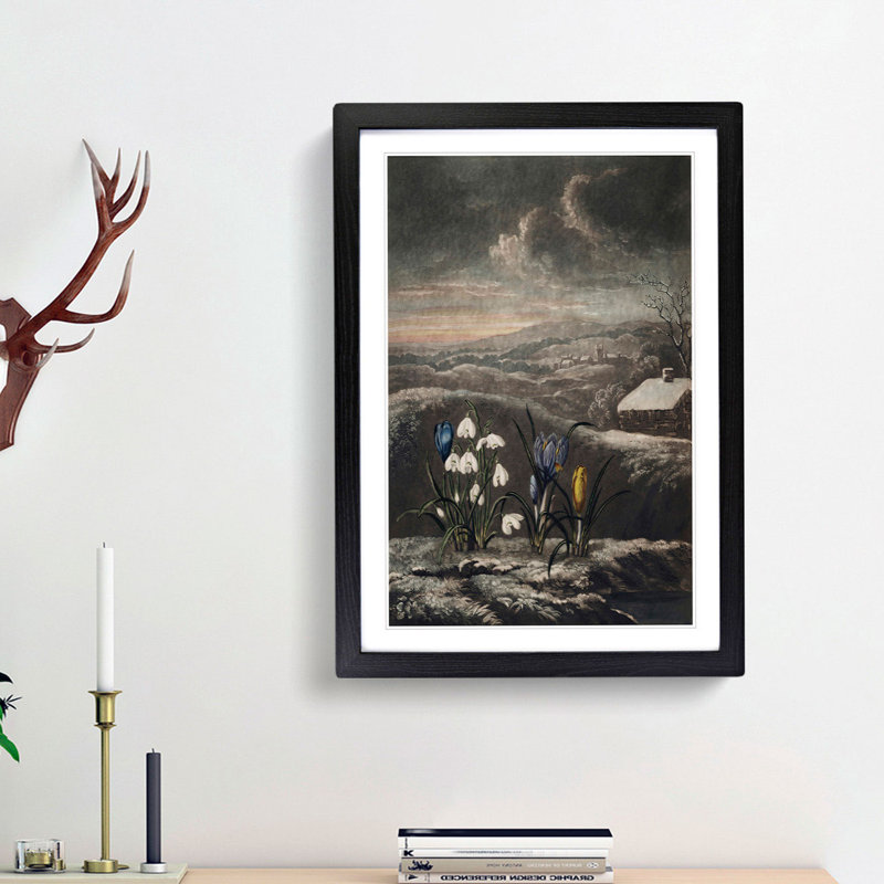 The Snowdrop Flowers by R.J. Thornton - Picture Frame Painting Print, 65cm H x 48cm W x 2cm D, Black Framed