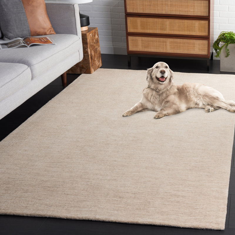Tapis en laine beige tissé à la main Funchess, Rectangle 3 pi x 5 pi