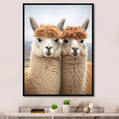 " Alcapas Curious Companions Two "