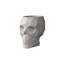 Skull - Nano Planter-101955078-131170598