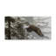 «Through The Firs» par Etelca, impression sur toile tendue-27653006