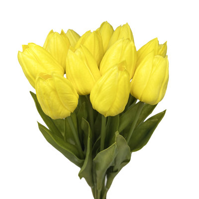 Tulip Arrangement