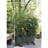 Raised Garden Extension Kit-21574820