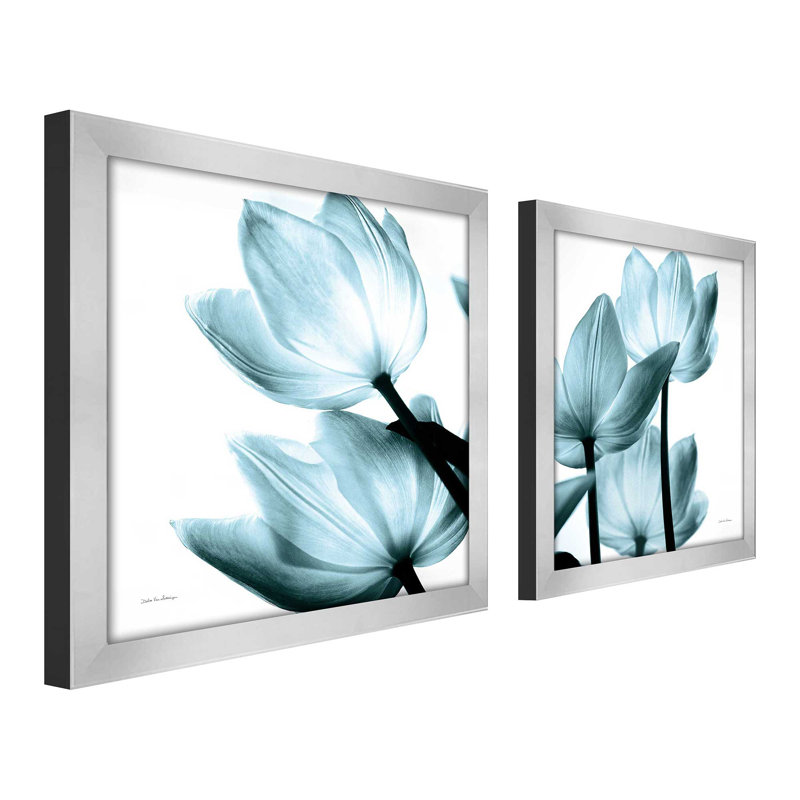 " Translucent Tulips " 2 - Pieces