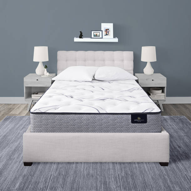 Serta Perfect Sleeper Elkins II Firm 11