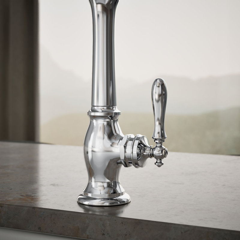 Artifacts Single Handle Kitchen Sink Faucet with Accessories, Polished Chrome