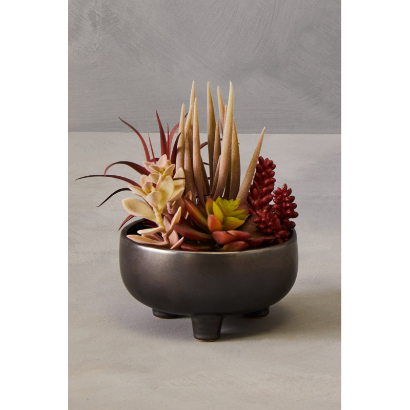 Fiori 24cm Faux Succulent in Ceramic Pot