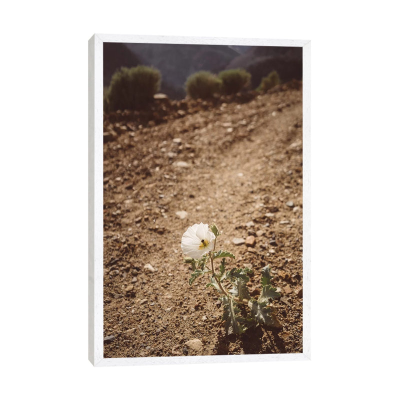 Yosemite Bloom III by Bethany Young - Print on Canvas, White Framed, 66.04cm H x 45.72cm W x 3.81cm D