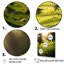 «Wonderland Ferns In Green World», reproduction sur toile-65871507-65871514