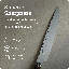 Premier 9.5'' L Carving Knife