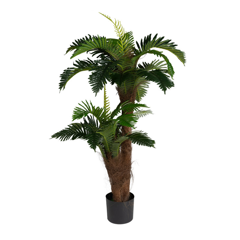 120cm Plant