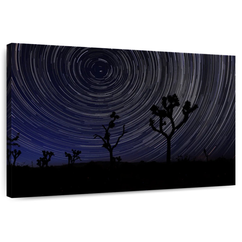 Nicci Star Trails à Joshua Tree, H 34 po x l 51 po