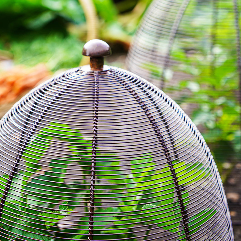 Wired Plant Protector, 55cm H x 47cm W x 18.50cm D, Zinc