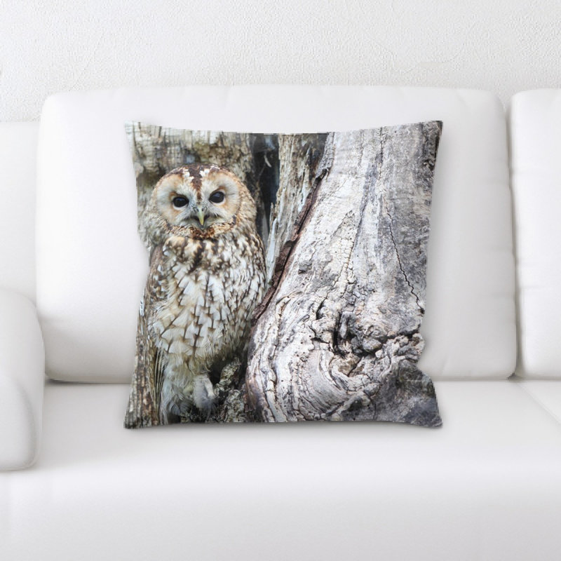 Coussin hibou