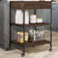 Dwyce Metal Bar Cart-1602414940