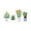 Melissa Wang - Print on Canvas-33003880-101413628