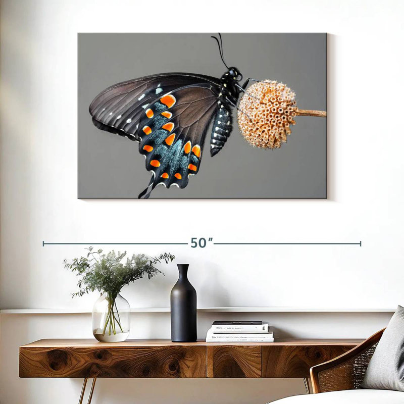 Papillon machaon noir Brampt, H 26 po x l 39 po