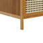 170cm H x 43cm W Bamboo / Rattan Bookcase