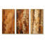 Brown Tree Bark Essence I - Ensemble de 3 décorations murales arbre-1796623028-1796623033