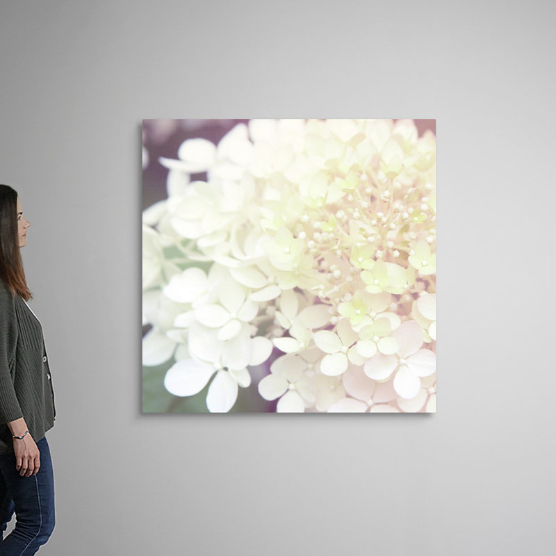 Hydrangea Dream II, art mural sur toile, Toile tendue, H 48 po x l 48 po x P 1,25 po