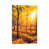 Wrapped Canvas