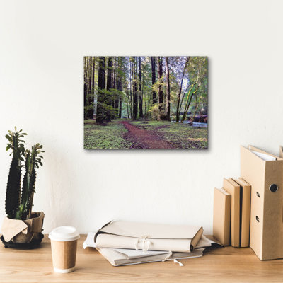 Epic Graffiti 'Bohemian Trail'  by Nicole Dell Canvas Wall Art, 16" x 12"